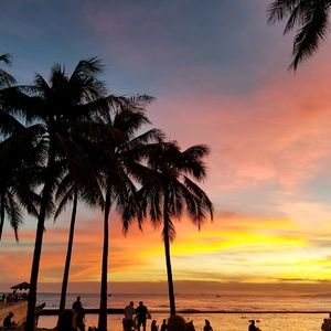 Meet your Posher, Patrick